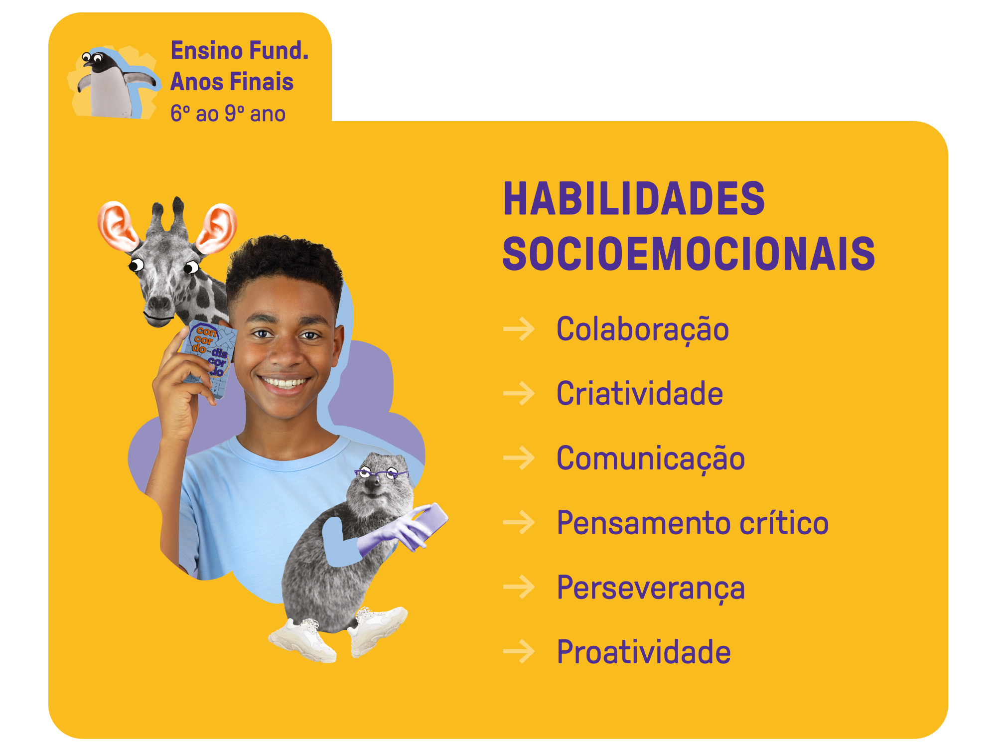 Ensino Fundamental Anos Finais