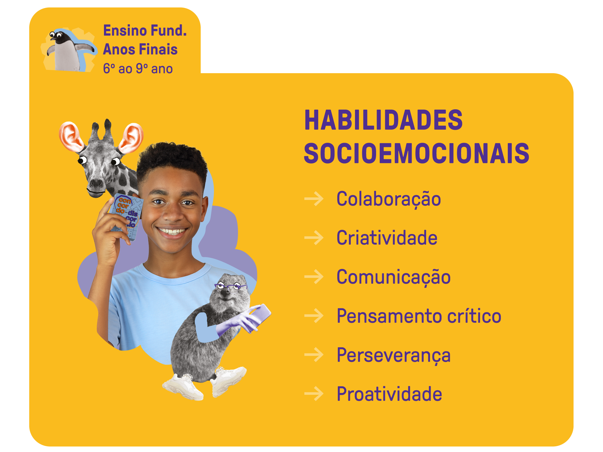 Ensino Fundamental Anos Finais